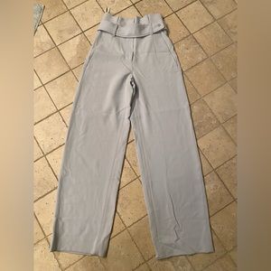 Aritzia Babaton Highwaisted Pants